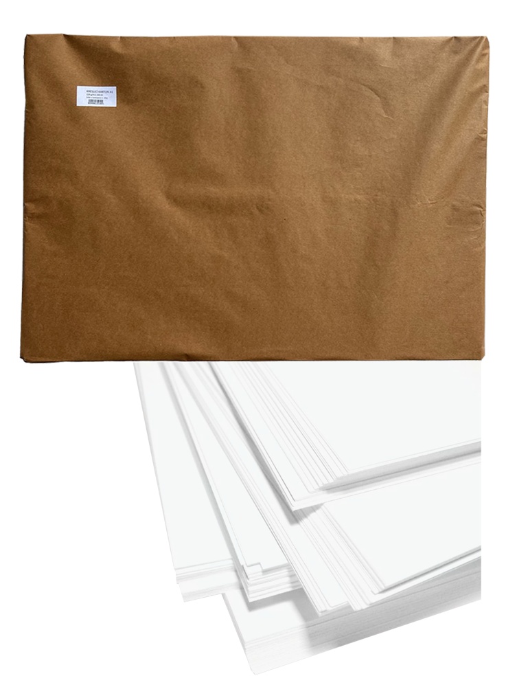 Karton A1 kreslící 220g. 100 listů