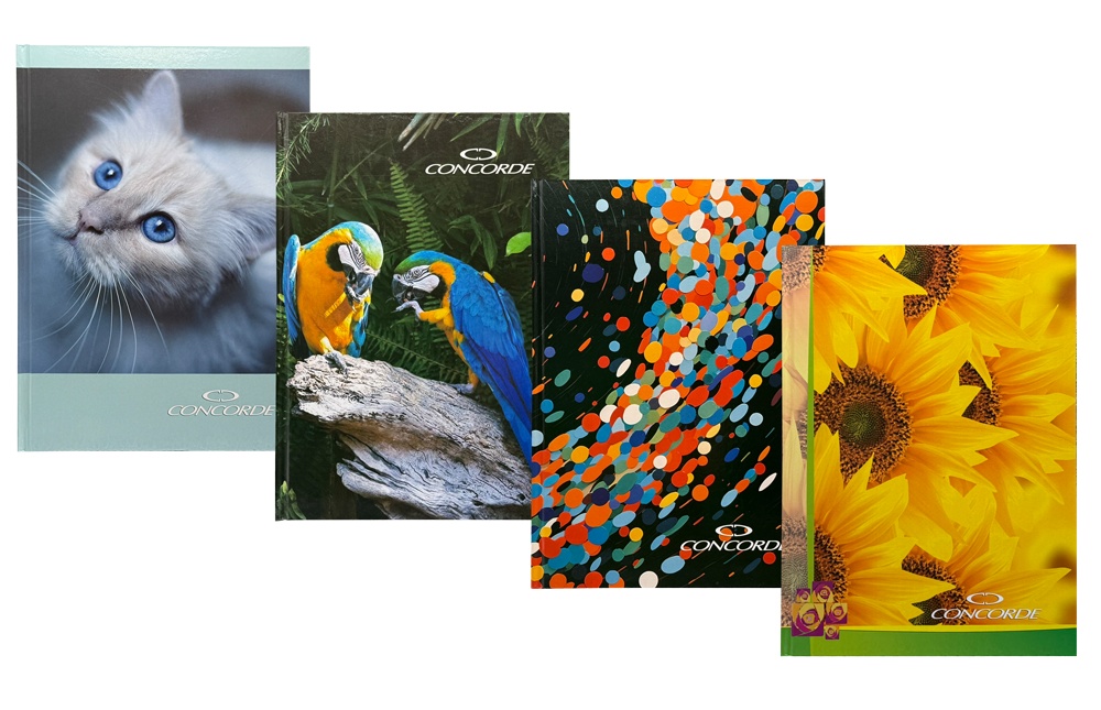 Kniha záznamní A4 linka 100 listů