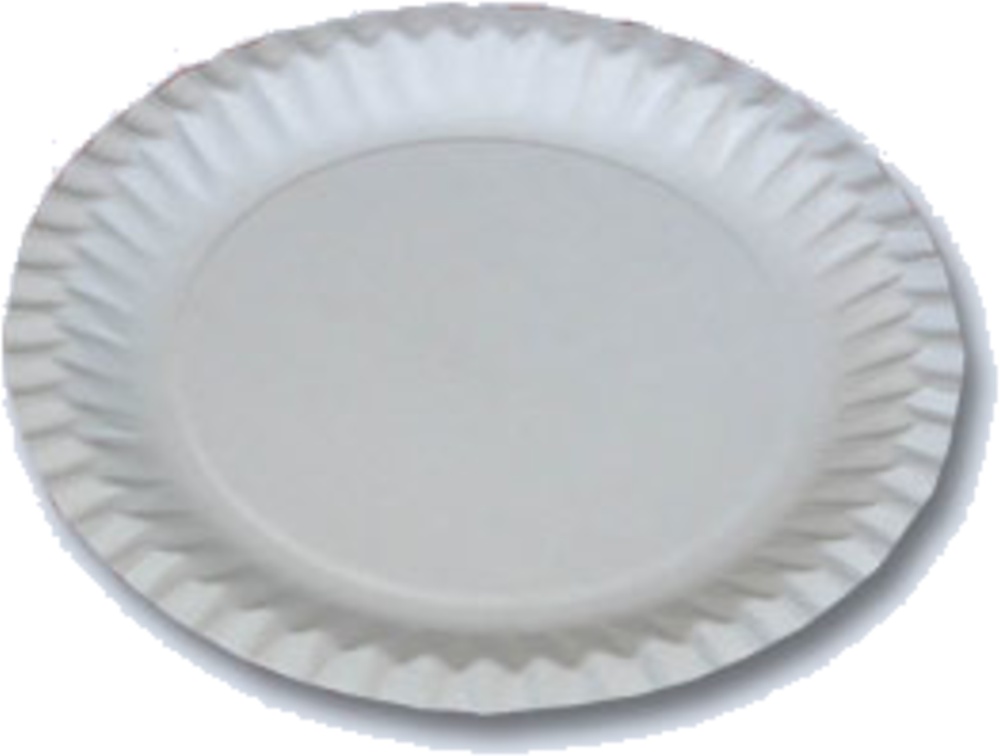 Talíř papírový pr.28cm 50ks