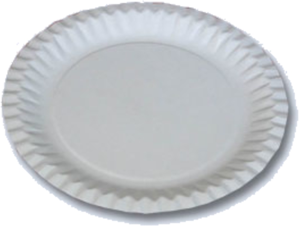 Talíř papírový pr.23cm 100ks
