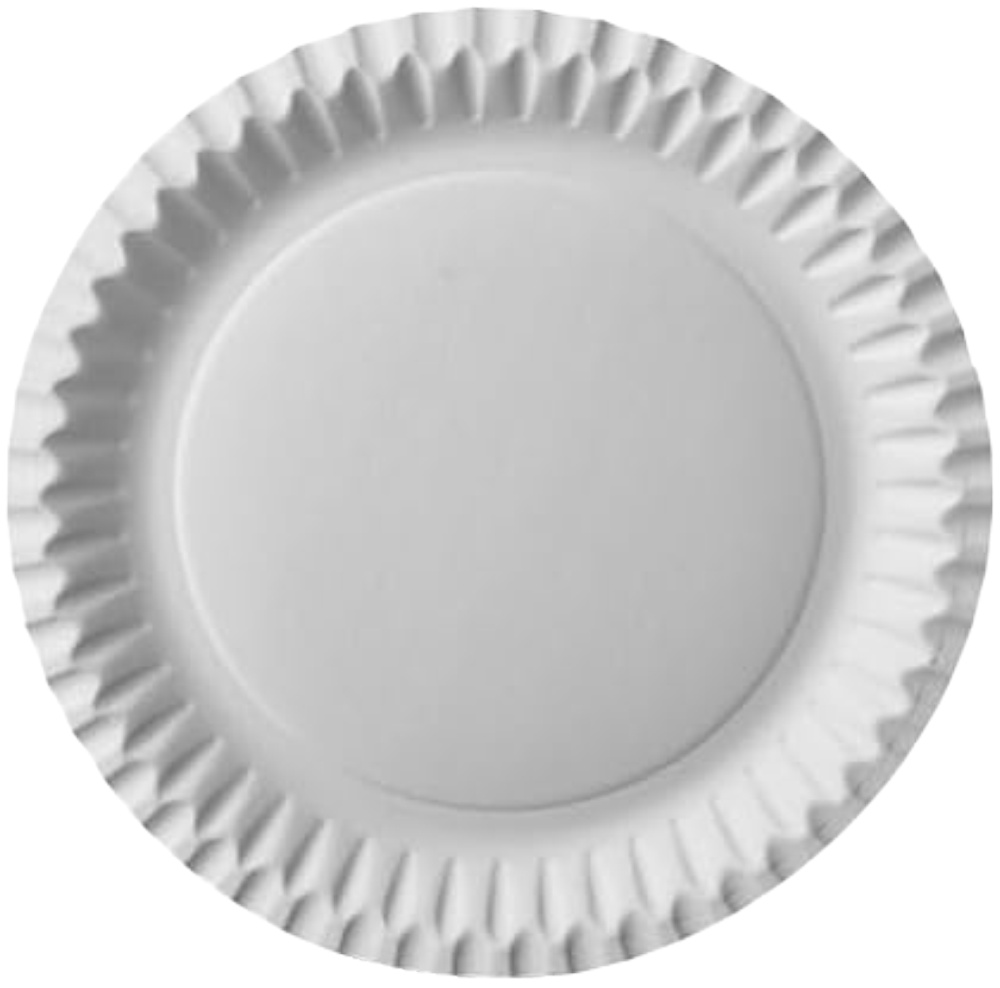 Talíř papírový pr.23cm 100ks