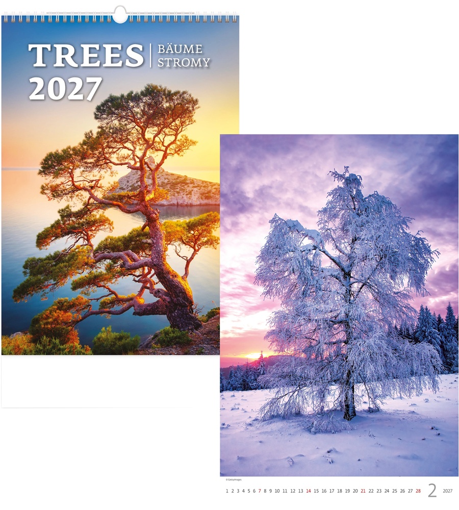 Kalendář n.2027 Trees N125 315x450