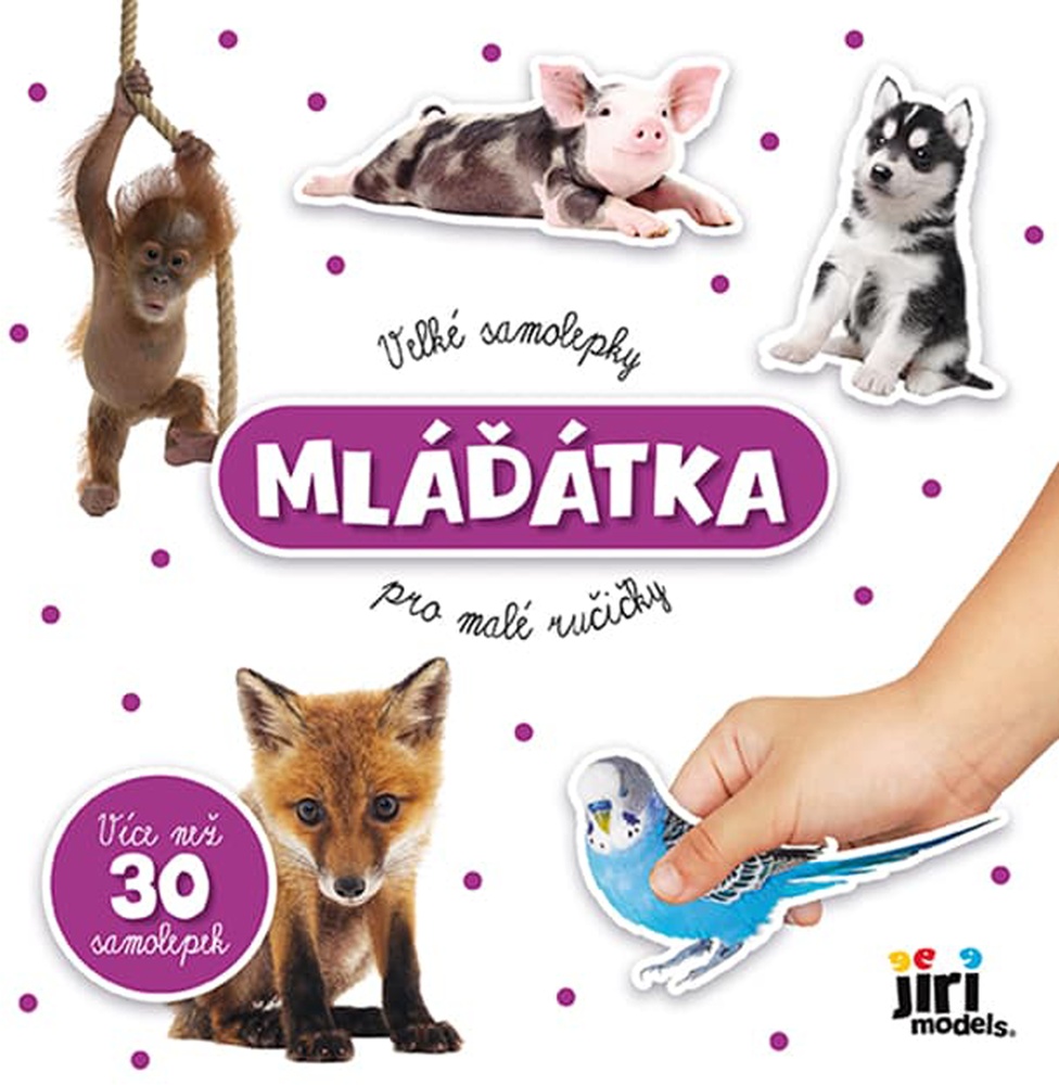 Samolepková knížka Mláďata 200x200 30et