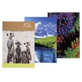 Kniha záznamní A4 linka 200listů