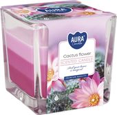 Svíčka vonná ve skle tříbarevná Kaktus