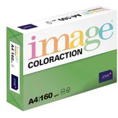 Karton A4 zelený 160g 250 listů DG47