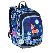 Batoh školní ENDY 23002 G